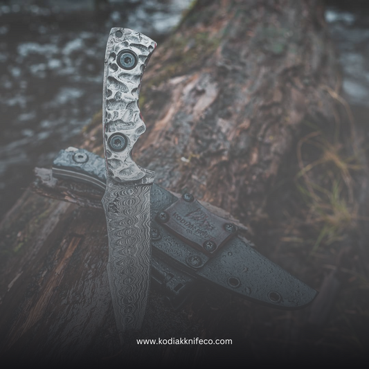 Embark on an Adventure with Kodiak