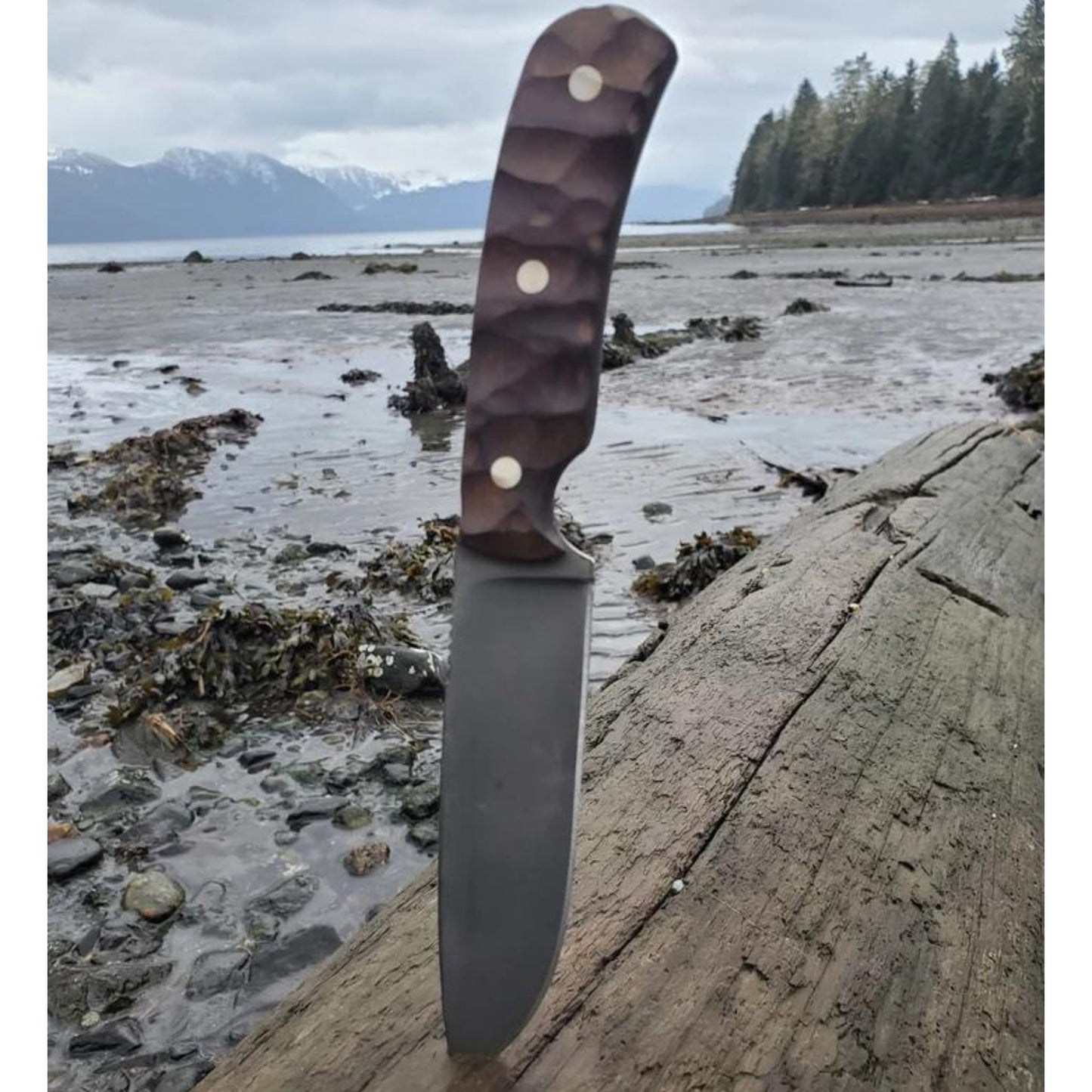 The Kenai
