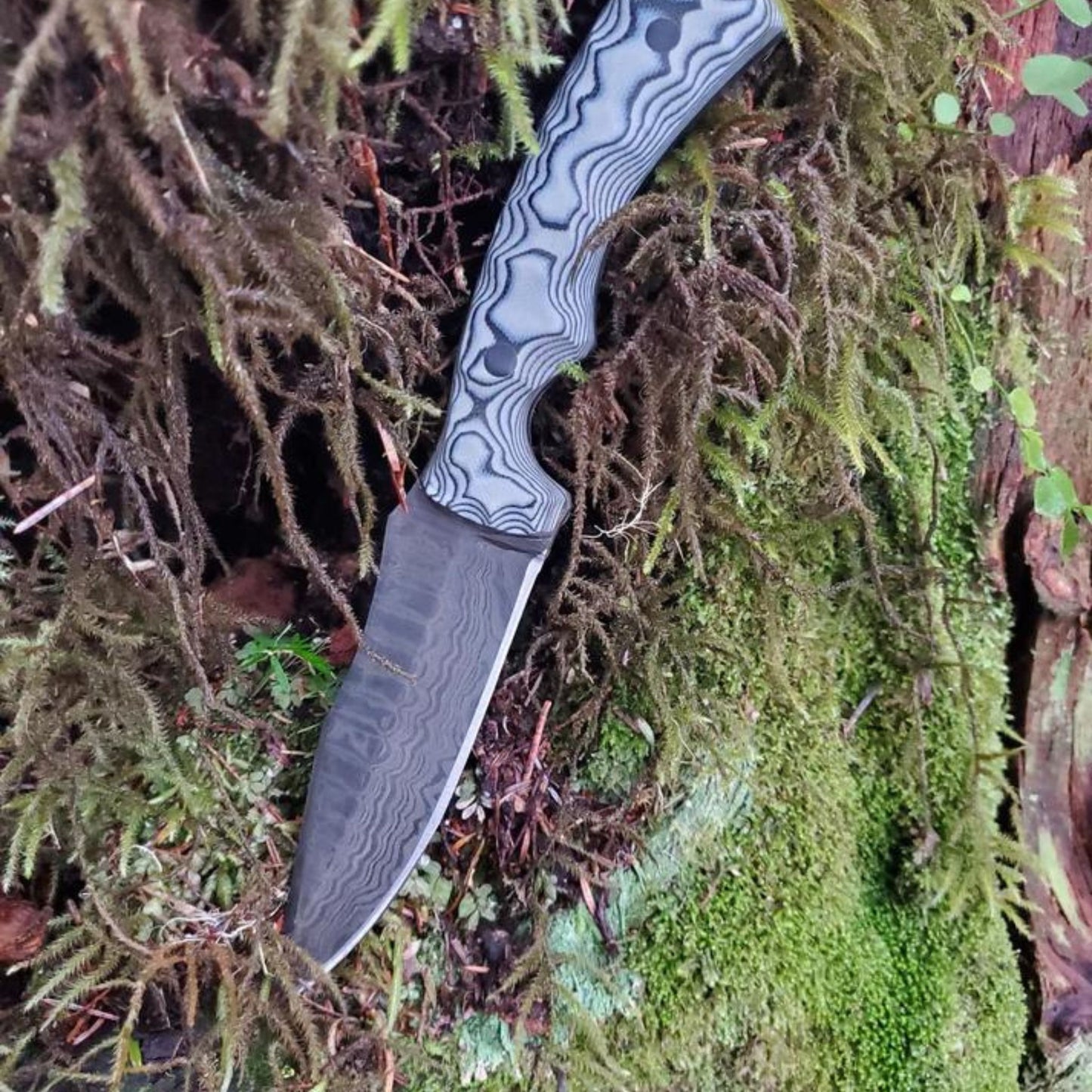 The LeConte