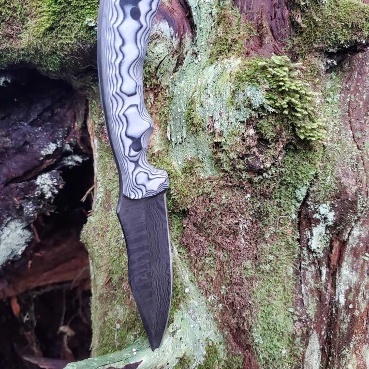 The LeConte