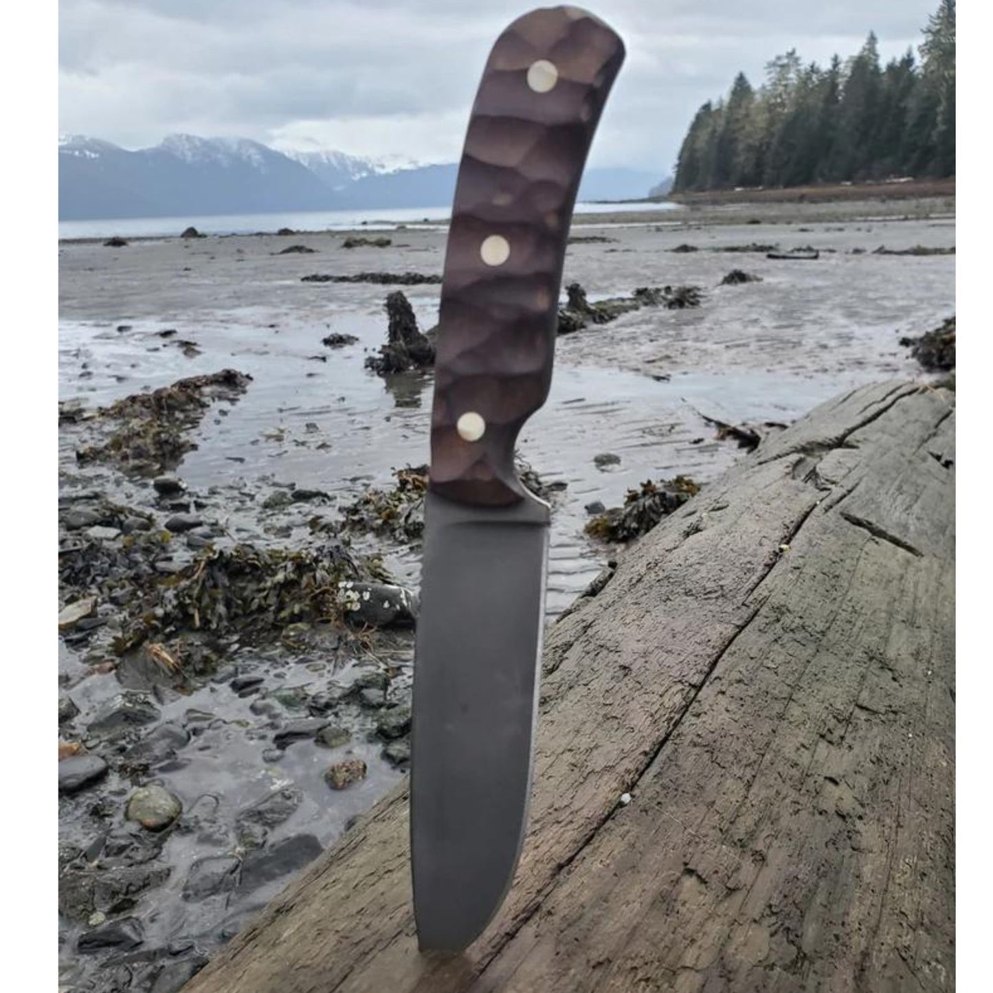 The Kenai