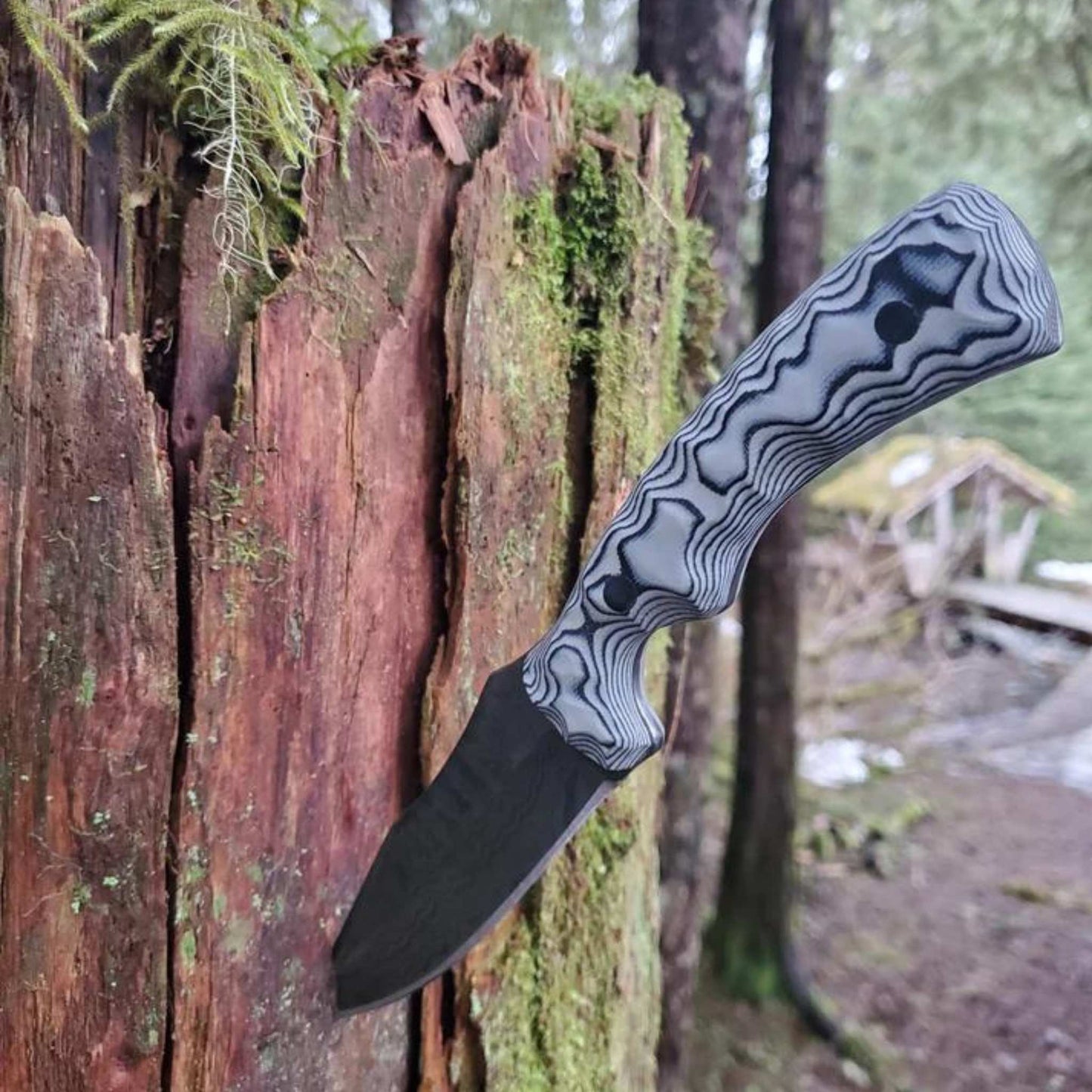 The LeConte